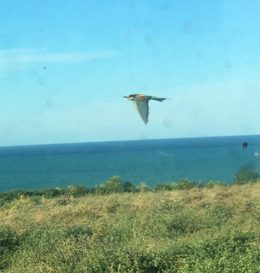 Agriturismo La Costa Dei Trabocchi トリーノ・ディ・サングロ エクステリア 写真