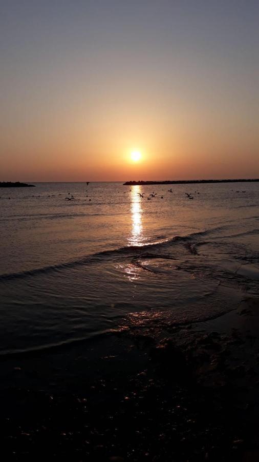 Agriturismo La Costa Dei Trabocchi トリーノ・ディ・サングロ エクステリア 写真
