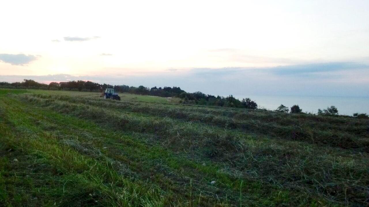 Agriturismo La Costa Dei Trabocchi トリーノ・ディ・サングロ エクステリア 写真