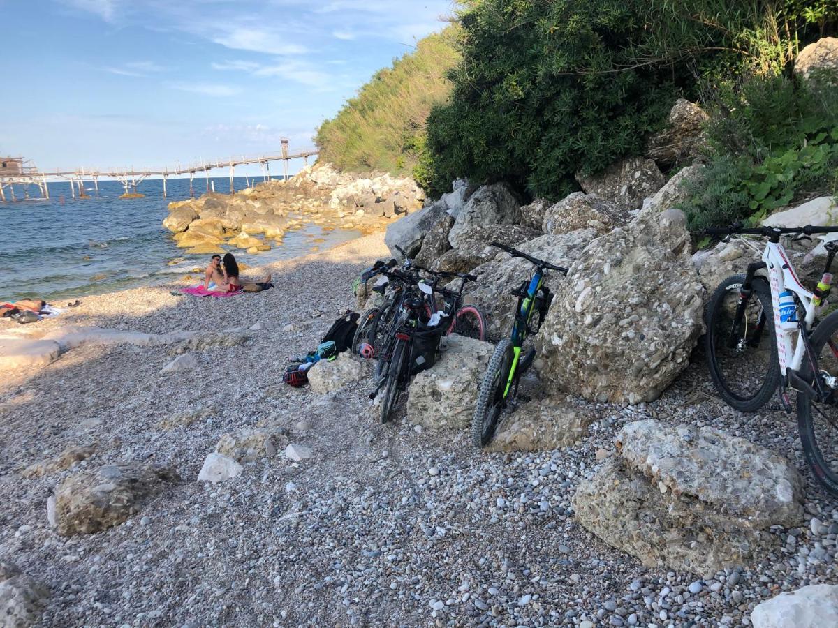 Agriturismo La Costa Dei Trabocchi トリーノ・ディ・サングロ エクステリア 写真