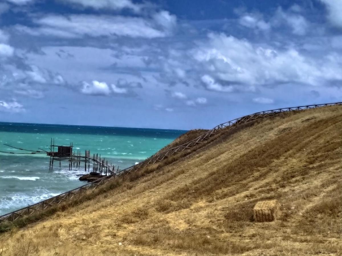 Agriturismo La Costa Dei Trabocchi トリーノ・ディ・サングロ エクステリア 写真